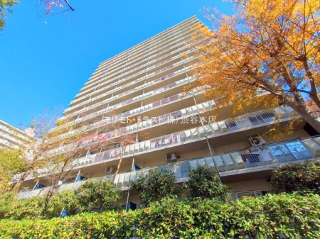 ���n�O�ώʐ^ �B�e��(2024-12-02 00:00:00)