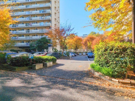 ���n�O�ώʐ^ �B�e��(2024-12-02 00:00:00)