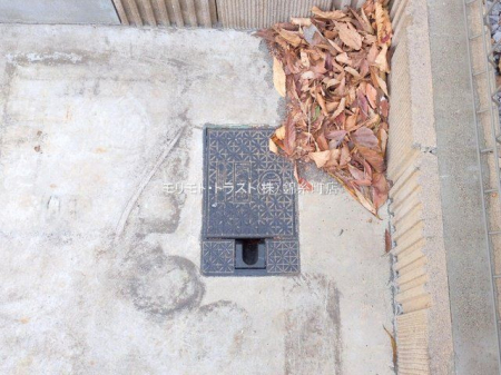 ���n�O�ώʐ^ �B�e��(2025-12-03 00:00:00)