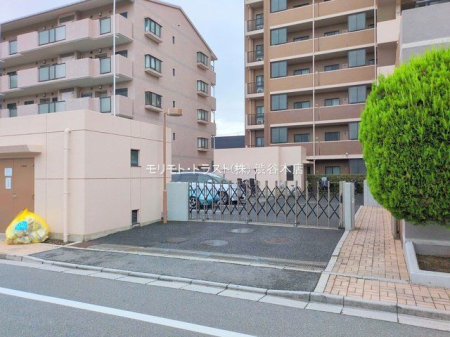 ���n�O�ώʐ^ �B�e��(2025-09-19 00:00:00)