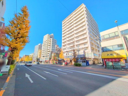 ���n�O�ώʐ^ �B�e��(2024-12-19 00:00:00)