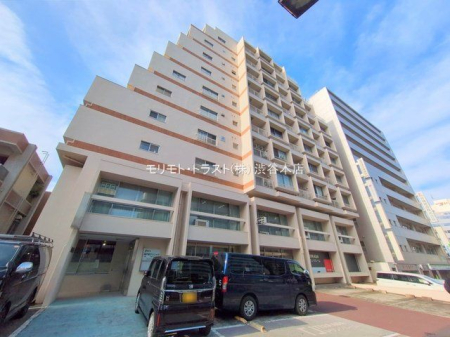 ���n�O�ώʐ^ �B�e��(2025-12-23)