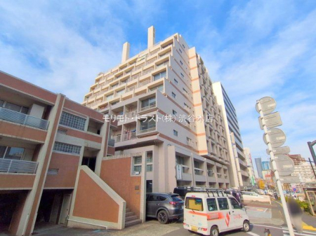 ���n�O�ώʐ^ �B�e��(2025-12-23 00:00:00)