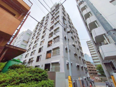 ���n�O�ώʐ^ �B�e��(2025-06-12 00:00:00)