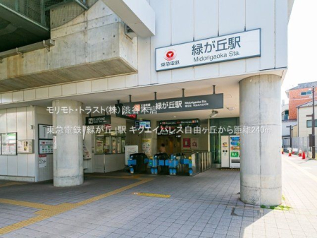 ���ӊ� ���}�d�S�u�΂��u�v�w �B�e��(2021-04-09) 240m