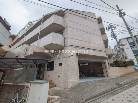 ���n�O�ώʐ^ �B�e��(2026-02-17 00:00:00)