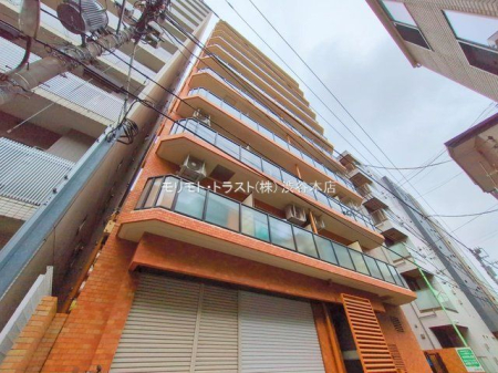 ���n�O�ώʐ^ �B�e��(2025-06-25 00:00:00)