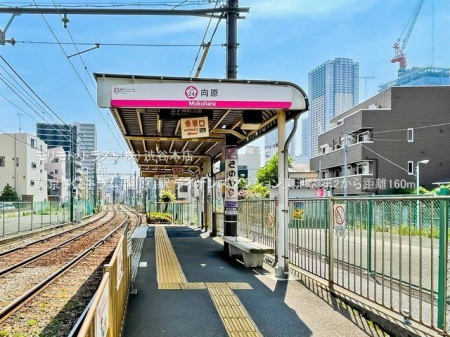 ���ӊ� ����������g�����u�����v�w �B�e��(2022-05-18) 160m