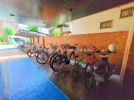 ���n�O�ώʐ^ �B�e��(2025-07-25 00:00:00)