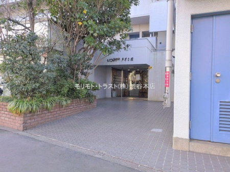 �G���g�����X �B�e��(2026-02-02 00:00:00)