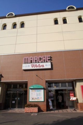 ���ӊ� ���c�}�}���V�F���] �k��25���B 1980m