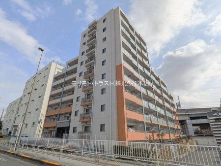 ���n�O�ώʐ^ �B�e��(2026-02-24)