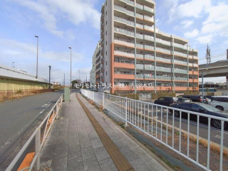 ���n�O�ώʐ^ �B�e��(2026-02-24 00:00:00)