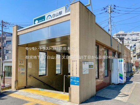 ���ӊ� �s�c�n���S�u���R�v�w �B�e��(2022-05-03) 240m