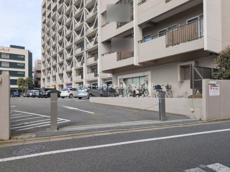 ���n�O�ώʐ^ �B�e��(2026-02-27 00:00:00)