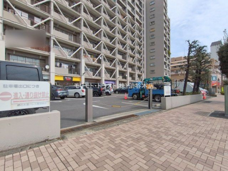 ���n�O�ώʐ^ �B�e��(2026-02-27 00:00:00)