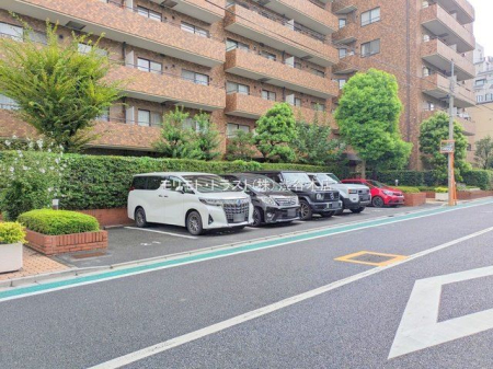 ���n�O�ώʐ^ �B�e��(2025-09-04 00:00:00)