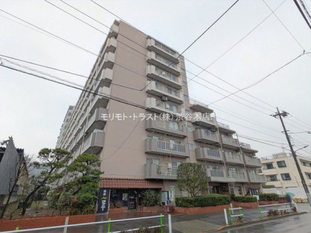 ���n�O�ώʐ^ �B�e��(2026-02-25)