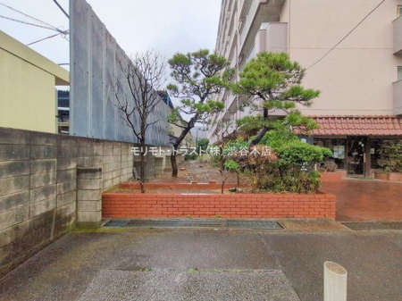 ���n�O�ώʐ^ �B�e��(2026-02-25 00:00:00)