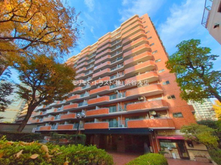 ���n�O�ώʐ^ �B�e��(2024-12-04)