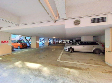 ���n�O�ώʐ^ �B�e��(2024-12-04 00:00:00)