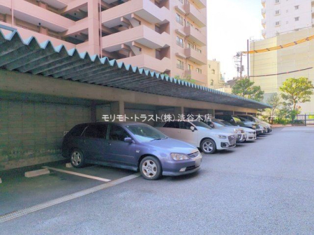 ���n�O�ώʐ^ �B�e��(2024-12-04 00:00:00)