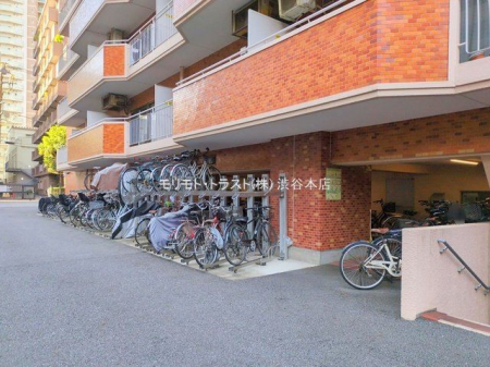 ���n�O�ώʐ^ �B�e��(2024-12-04 00:00:00)