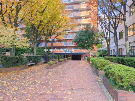 ���n�O�ώʐ^ �B�e��(2024-12-04 00:00:00)