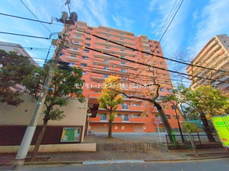 ���n�O�ώʐ^ �B�e��(2024-12-04 00:00:00)