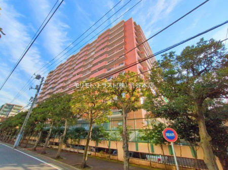 ���n�O�ώʐ^ �B�e��(2024-12-04 00:00:00)