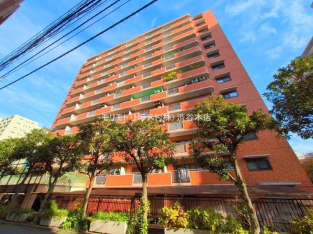 ���n�O�ώʐ^ �B�e��(2024-12-04 00:00:00)