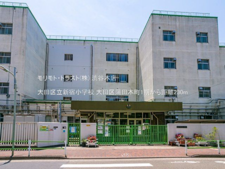 ���ӊ� ��c�旧�V�h���w�Z �B�e��(2022-06-30) 230m