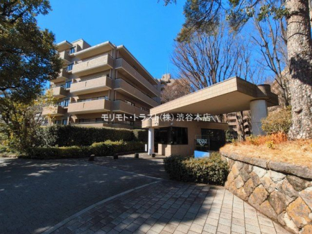 ���n�O�ώʐ^ �B�e��(2026-03-04)