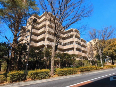 ���n�O�ώʐ^ �B�e��(2026-03-04 00:00:00)