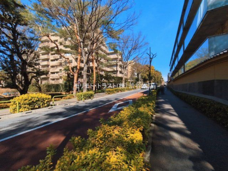 ���n�O�ώʐ^ �B�e��(2026-03-04 00:00:00)