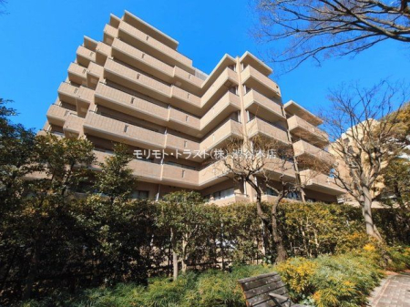 ���n�O�ώʐ^ �B�e��(2026-03-04)