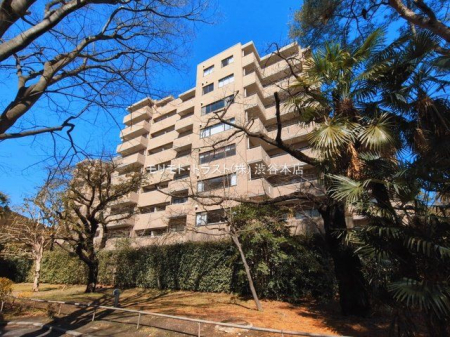 ���n�O�ώʐ^ �B�e��(2026-03-04 00:00:00)