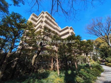 ���n�O�ώʐ^ �B�e��(2026-03-04 00:00:00)