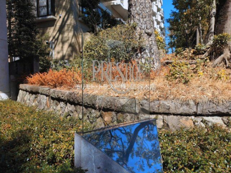 ���n�O�ώʐ^ �B�e��(2026-03-04 00:00:00)