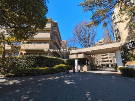 ���n�O�ώʐ^ �B�e��(2026-03-04 00:00:00)