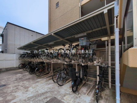 ���n�O�ώʐ^ �B�e��(2026-03-02 00:00:00)