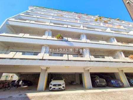 ���n�O�ώʐ^ �B�e��(2025-01-17 00:00:00)