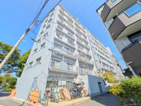 ���n�O�ώʐ^ �B�e��(2025-08-27)