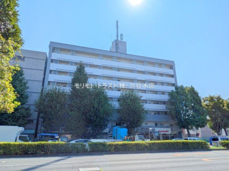 ���n�O�ώʐ^ �B�e��(2025-08-27 00:00:00)