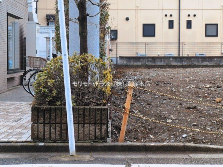 ���n�O�ώʐ^ �B�e��(2026-03-10 00:00:00)