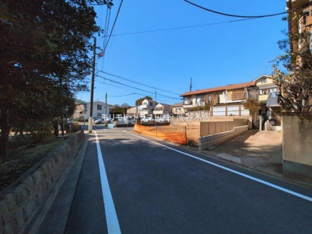 ���n�y�n�ʐ^ �B�e��(2026-03-05 00:00:00)