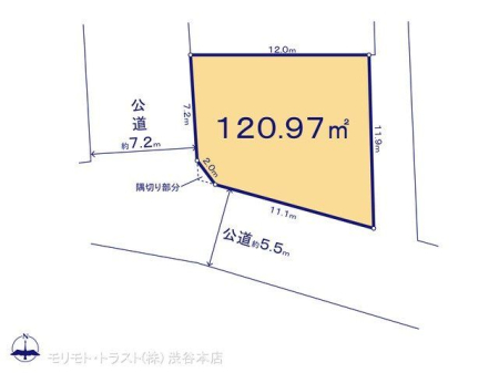 ���̑� �}�ʂƈقȂ�ꍇ�͌�����D��