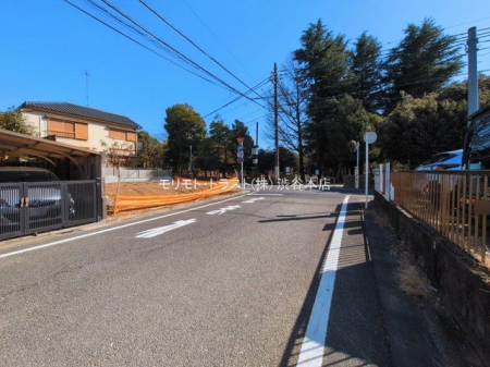 ���n�y�n�ʐ^ �B�e��(2026-03-05 00:00:00)