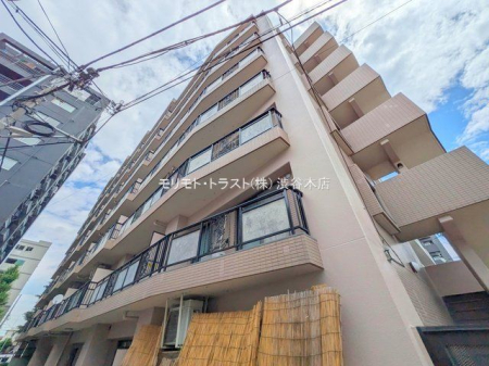 ���n�O�ώʐ^ �B�e��(2025-06-16)