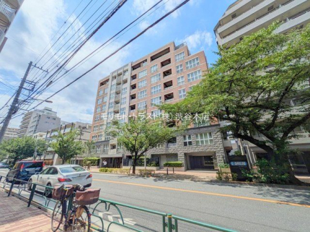 ���n�O�ώʐ^ �B�e��(2025-06-16)